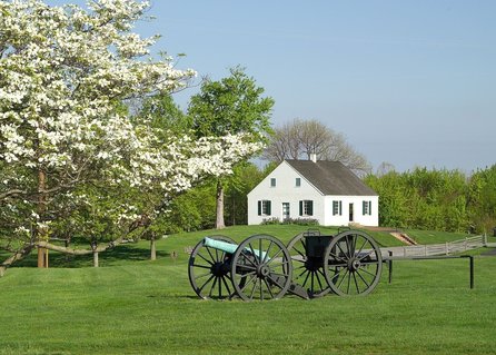 Photo of Dunker Church at Antietam, with blooming tree and flowers behind the cannons