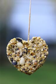 heart-shaped bird food