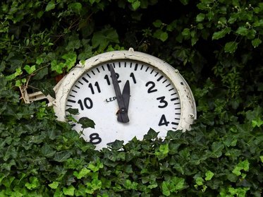 Photo of old clock surrounded by greenery