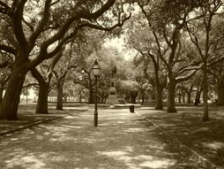 B&W photo of old park in Charleston